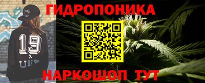 прущие крисы Пенза